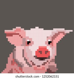 pig new year