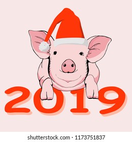 Pig and New Year Text. Hand-drawn pink pig and text 2019. Ink art illustration on white background. Postcard, poster design, website design.