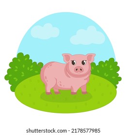 Pig on the background of grass and sky