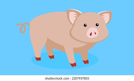 pig on a blue background