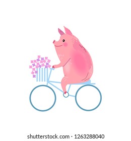 Pig on a blue bike