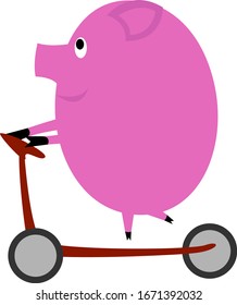 Pig on scooter, illustration, vector on white background.