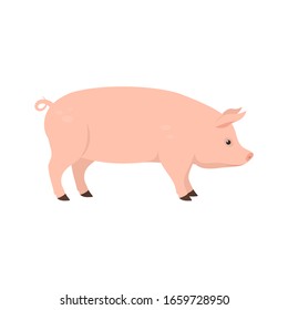 pig on the side. Isolated vector illustration