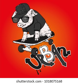 Pig on skateboard. Vector illustration. Sport and extreme.
