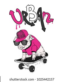 Pig on skateboard. Vector illustration. Sport and extreme.