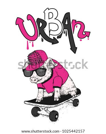 Pig on skateboard. Vector illustration. Sport and extreme.
