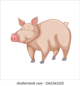 pig on a white background