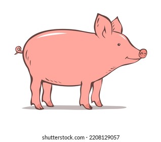 Pig on a white background. Farming and pets. Cute piglet. Food and meat. Cartoon vector illustration isolated on white background. Outline hand drawn