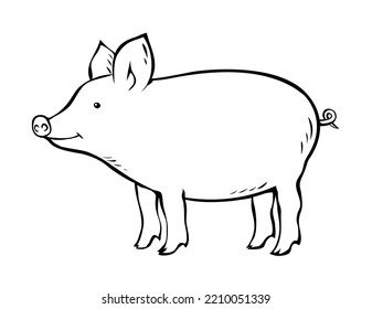 Pig on a white background. Farming and pets. Cute piglet. Food and meat. Cartoon vector isolated art illustration. Hand drawn black line sketch