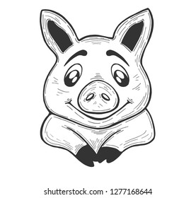 Pig on a white background. Sketch. Vector. Piglet. Hand drawing. Circuit. Line