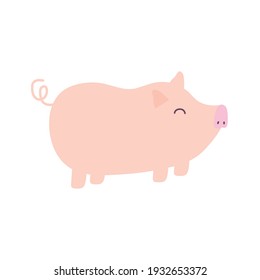 pig on a white background vector illustration design