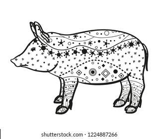 Pig on white. Hand drawn animal with intricate patterns on isolated background. Design for spiritual relaxation for adults. Image for banners, flyers and textiles. Zen art. Zentangle