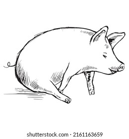Pig outline icon. Hand drawn sketch of a pig. Vector black ink drawing farm animal, outline silhouette isolated on white background.