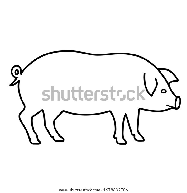 pig outline
