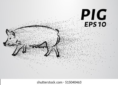Pig of the particles. Pig consists of circles and points.