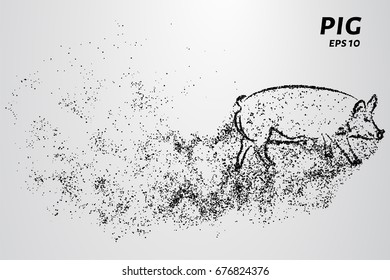 Pig of the particles. Pig consists of circles and points. Vector illustration.