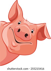 pig peeking out from the left - vector illustration