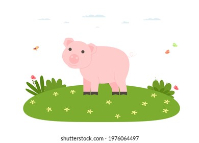 Pig. Pet, domestic and farm animal. Pig is walking on the lawn. Vector illustration in cartoon flat style.