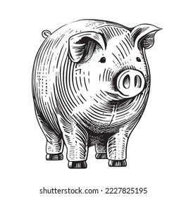 Pig piggy bank retro hand drawn sketch Vector illustration.