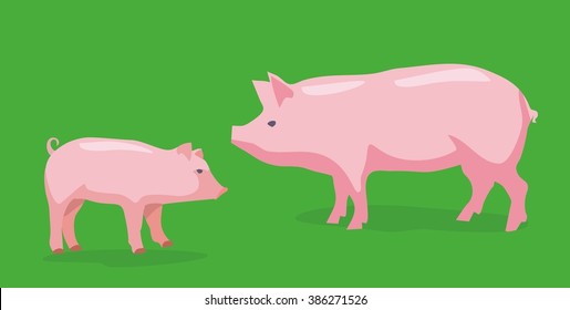 Pig and piggy on green background. Vector flat illustration.