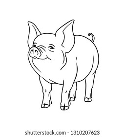 Pig, piglet, black and white.  Pig sketch illustration. Vector.