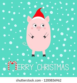 Pig piglet. Cute cartoon funny baby character. Hog swine sow animal. Merry Christmas. Santa hat. Chinise symbol of 2019 new year. Zodiac sign. Flat design. White background. Snow flake. Vector