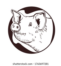 Pig. Piglet farm premium quality isolated on white background. Logo. Element design packaging. Monochrome Illustration Vector Sketch hand drawn. Graphics. Black and white. Sketch. Hand drawn.