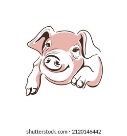 Pig. Piglet farm premium quality isolated on white background. Logo. Element design packaging. Monochrome Illustration Vector Sketch hand drawn. Graphics. Black and white. Sketch. Hand drawn.