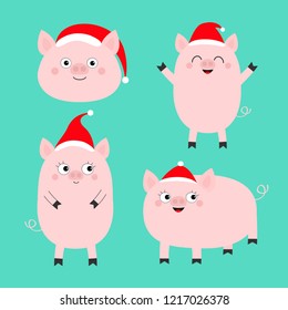 Pig piglet set. Santa hat. Cute cartoon funny baby character. Hog swine sow animal. Chinise symbol of 2019 new year. Zodiac sign. Flat design. Green background. Isolated. Vector illustration