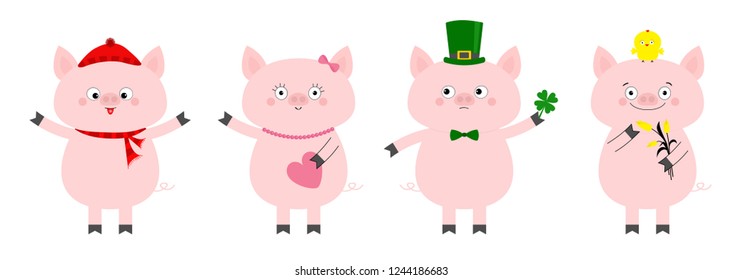 Pig piglet set. Winter hat, scarf, pink heart, Patrick clover, chicken, tulip. Cute funny cartoon animal character. Flat design White background. Isolated. Vector illustration
