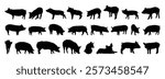 pig and piglet silhouette set. pig and piglet isolated farm animal silhouette icon vector collection. Vector illustration