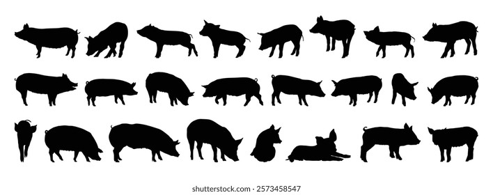 pig and piglet silhouette set. pig and piglet isolated farm animal silhouette icon vector collection. Vector illustration