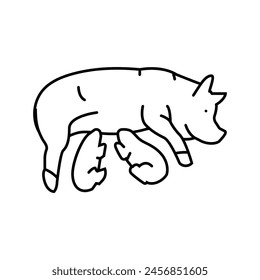 pig piglets farm line icon vector. pig piglets farm sign. isolated contour symbol black illustration