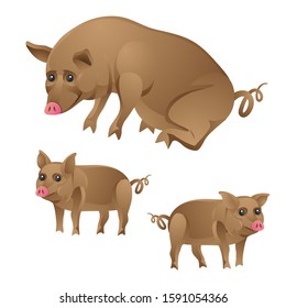 Pig and piglets Pets on white isolated background. Vector image. eps 10