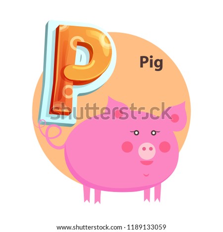 Pig plump character is for P letter in english crisscross-row. Vector cartoon abecedarian poster with piglet for children and kids language lesson.