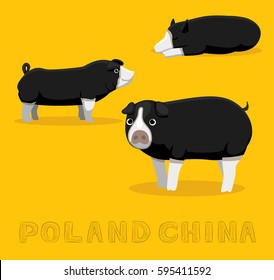 Pig Poland China Cartoon Vector Illustration