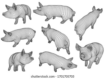 Pig polygonal lines illustration. Abstract vector pig on the white background