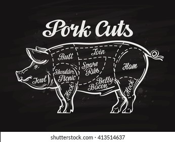 pig, pork cuts. template menu design for restaurant or cafe