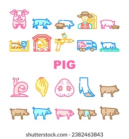 pig pork farm icons set vector. animal piglet, hog swine, graphic,livestock, domestic bacon, cute, hand, boar pig pork farm color line illustrations