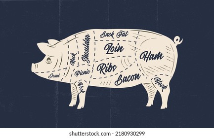 Pig, Pork meat chart. Butchery poster with pork meat cuts and paper craft texture. Vintage butcher meat diagram. Vector illustration