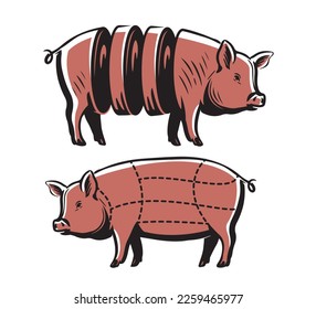 Pig, Pork meat diagram, scheme. Butchery symbol with pork meat cuts. Vintage butcher meat diagram. Vector illustration