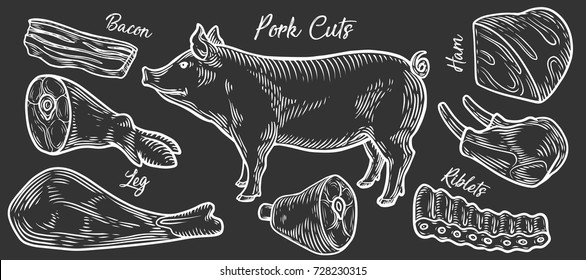 Pig, pork Meat ham cuts, parts, chop hand drawn butchery vector set. Engraved meat collection chalkboard.