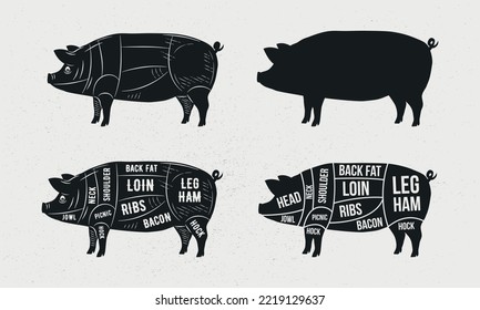 Pig, Pork set. Pig silhouette. Pork - butcher diagram template. Cuts of Pork. Vintage Posters for groceries, butcher shop, meat store. Vector illustration