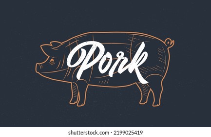 Pig, Pork vintage sketch. Pig silhouette with grunge texture. Vintage poster. Typography. Vector illustration.