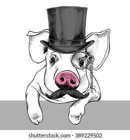 Pig portrait with mustache in a hat bowler and monocle. Vector illustration.