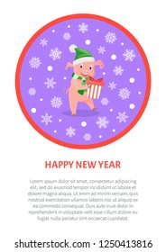 Pig with present Happy New Year snowflakes postcard. Text under round illustration on white. Piglet horoscope symbol with gift box vector isolated