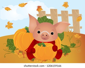Pig with pumpkin. Vector illustration.