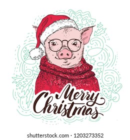 Pig in a red cardigan, in a Santa's red cap . Marry Christmas - lettering quote. Christmas card, poster, t-shirt composition, hand drawn style print. Vector illustration