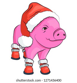 Pig in a red Santa Claus hat and shoes isolated on white.