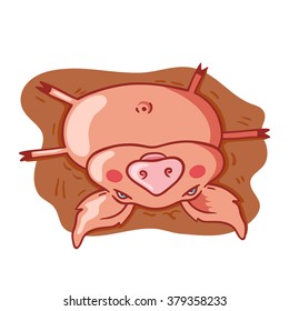 Pig is resting in a puddle of dirt
